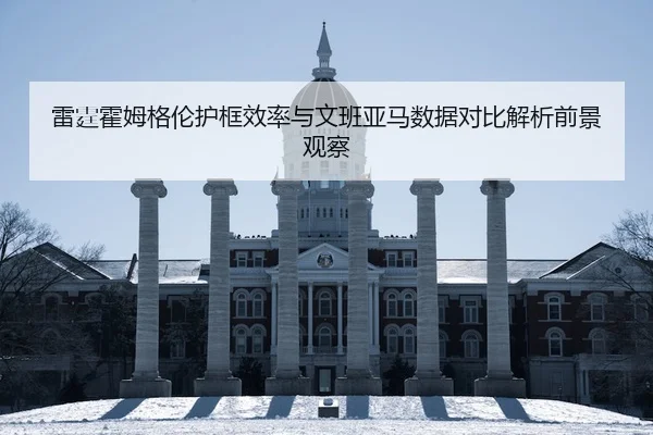雷霆霍姆格伦护框效率与文班亚马数据对比解析前景观察